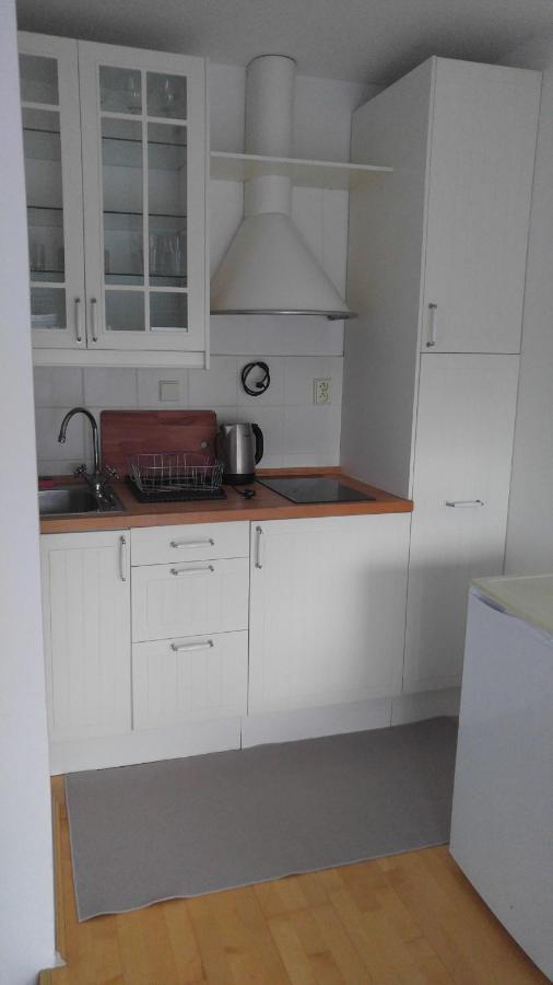 Vitkov Park Apartamento